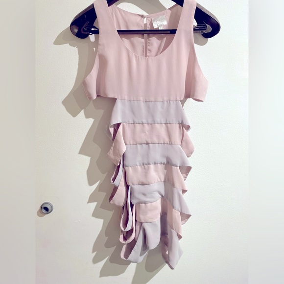 Lu Pruia Dress size Medium. Cut out sides. Adorable Blush Pink and Grey. - Picture 6 of 7